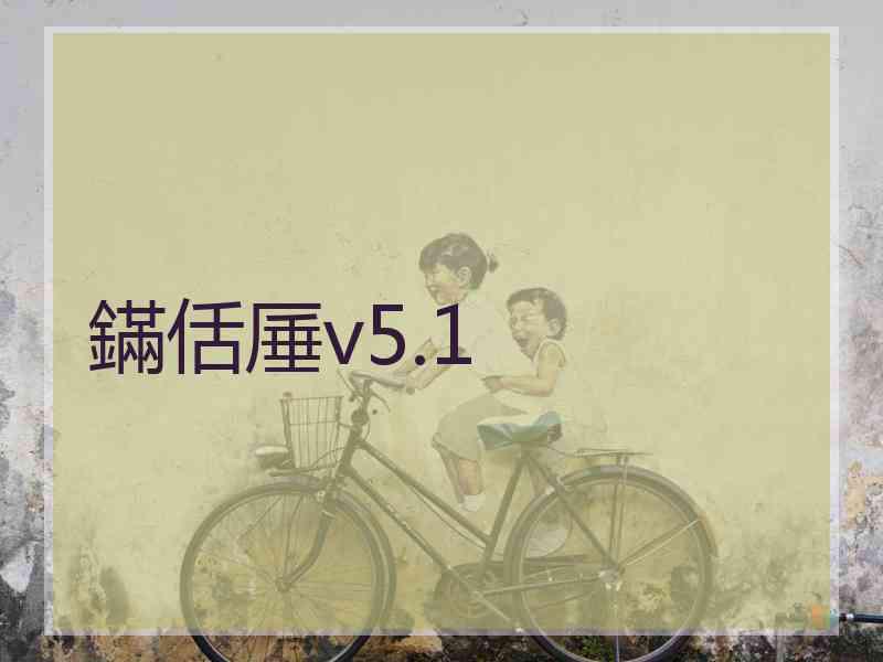 鏋佸厜v5.1