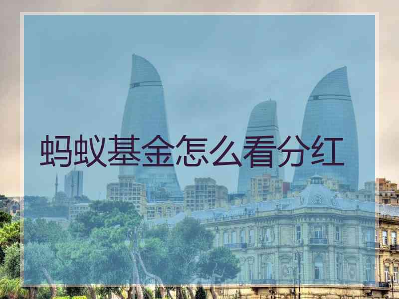 蚂蚁基金怎么看分红