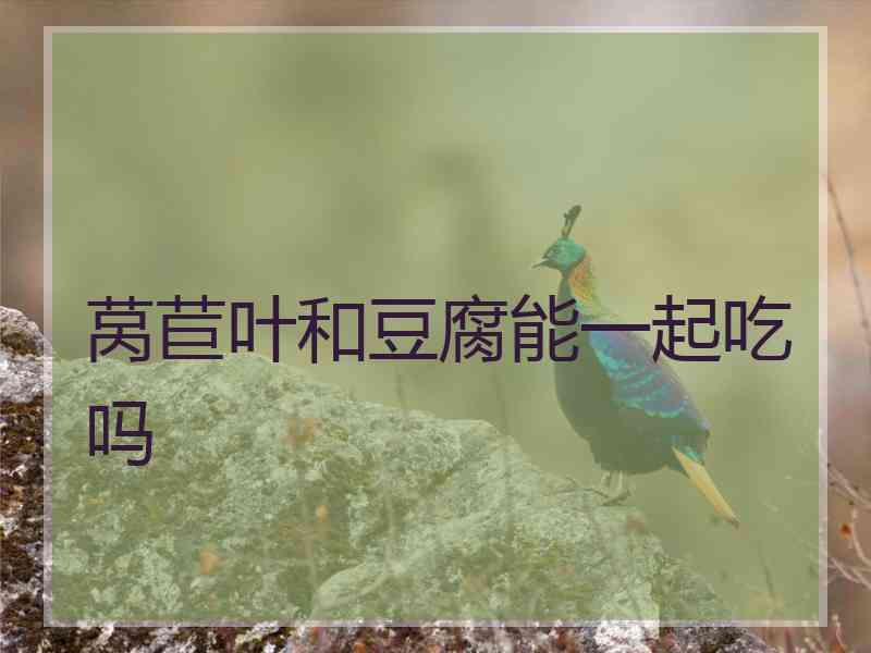 莴苣叶和豆腐能一起吃吗