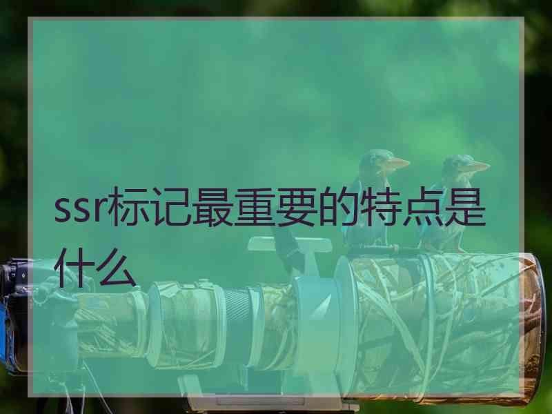 ssr标记最重要的特点是什么