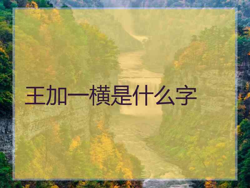 王加一横是什么字