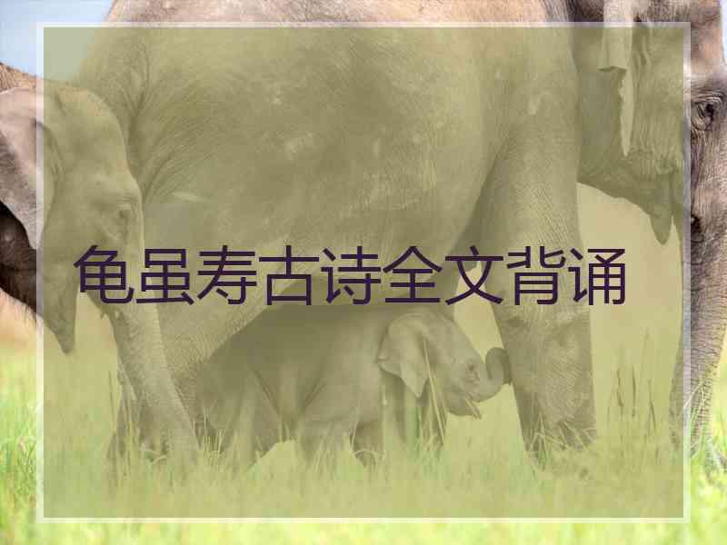 龟虽寿古诗全文背诵