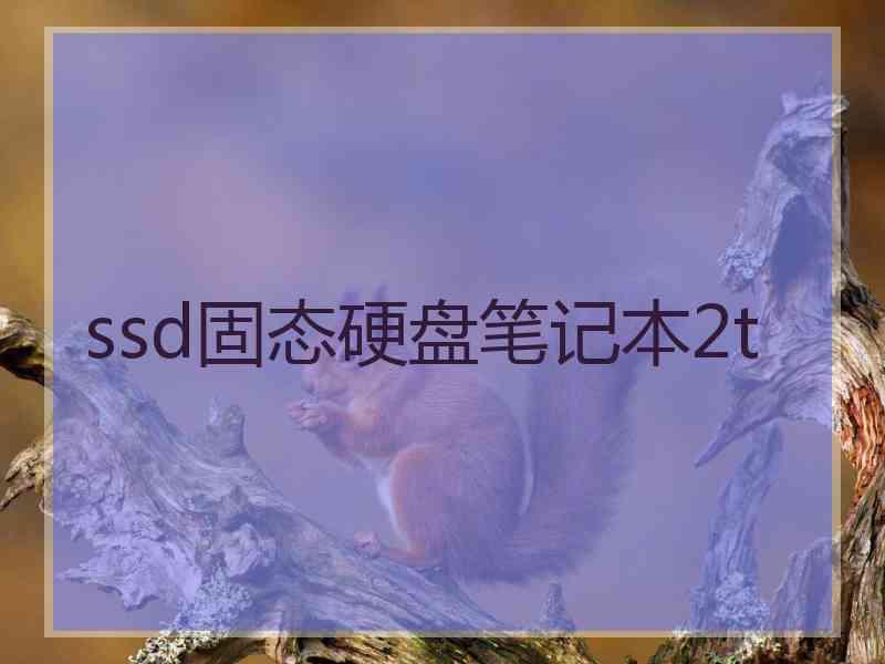 ssd固态硬盘笔记本2t