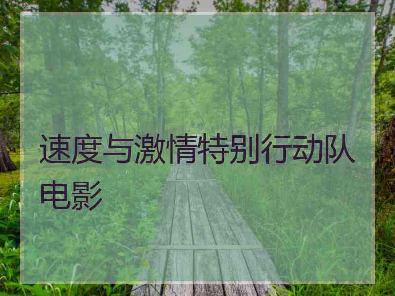 速度与激情特别行动队电影