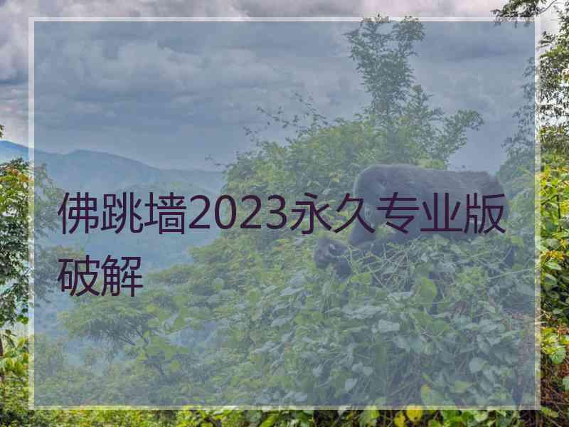 佛跳墙2023永久专业版破解