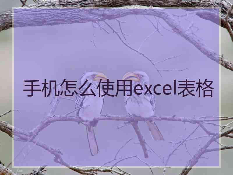 手机怎么使用excel表格