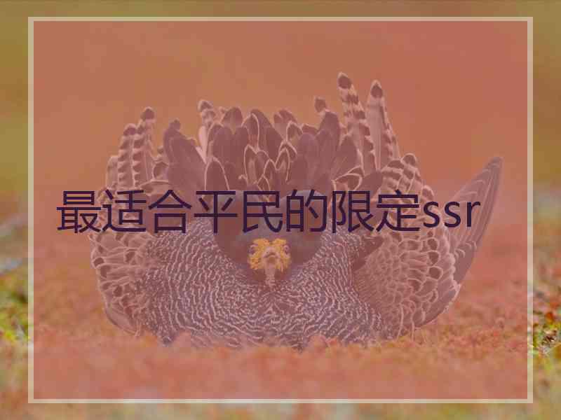 最适合平民的限定ssr