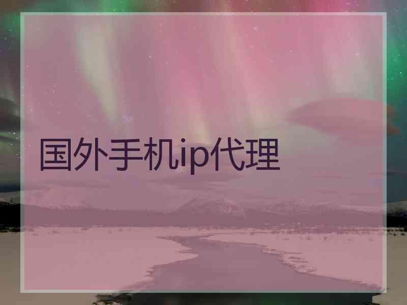 国外手机ip代理