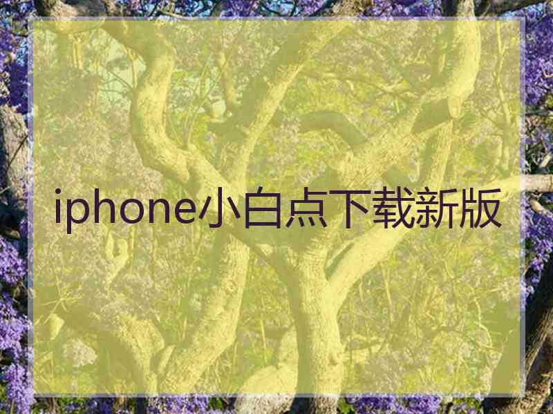 iphone小白点下载新版