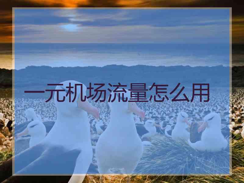 一元机场流量怎么用