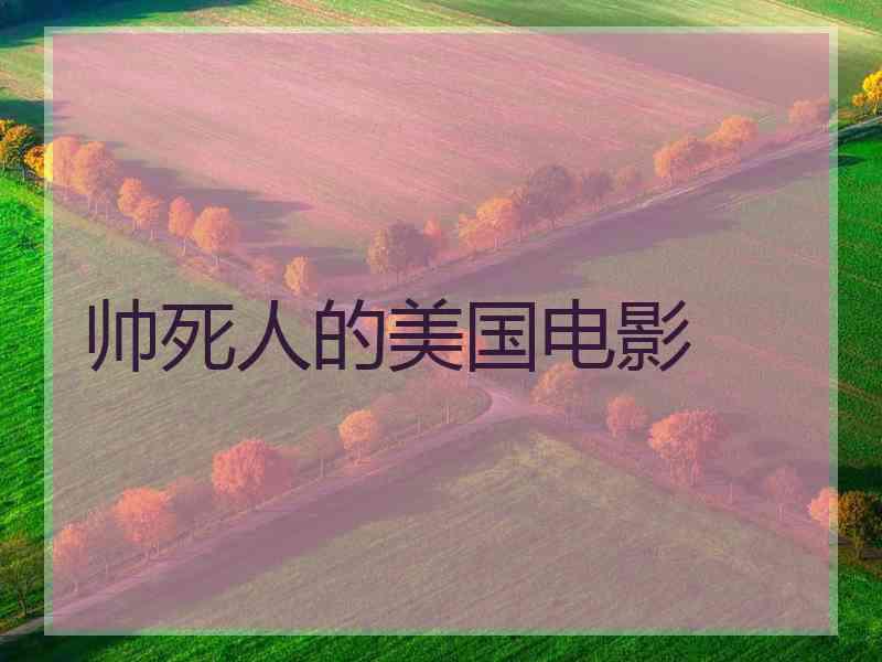 帅死人的美国电影