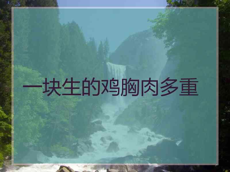 一块生的鸡胸肉多重