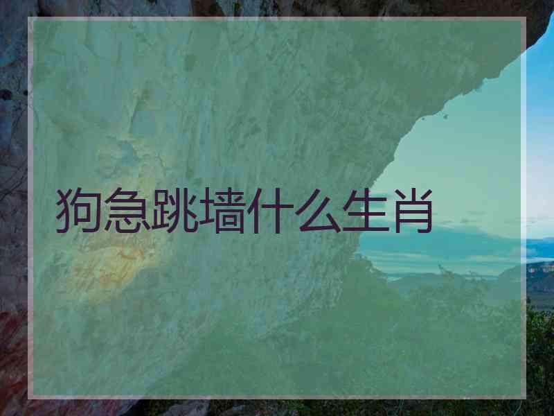 狗急跳墙什么生肖