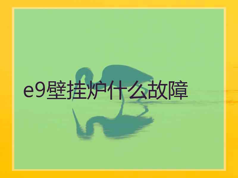 e9壁挂炉什么故障