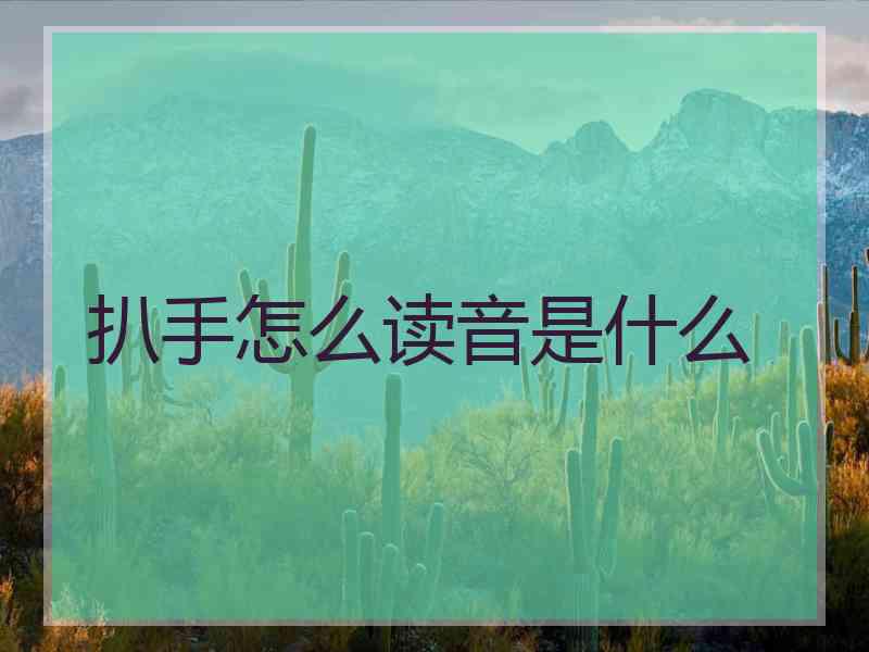 扒手怎么读音是什么