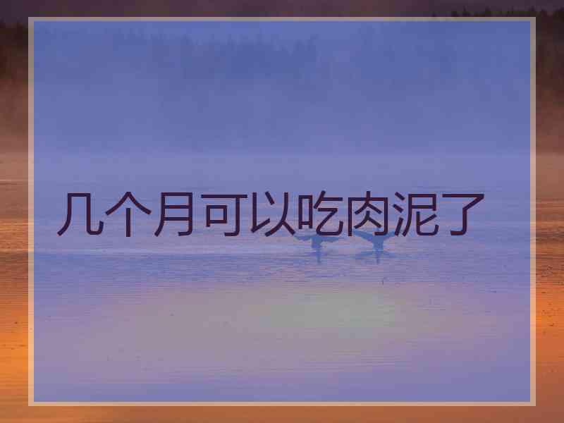 几个月可以吃肉泥了