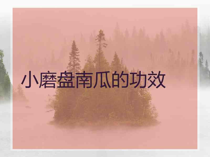 小磨盘南瓜的功效