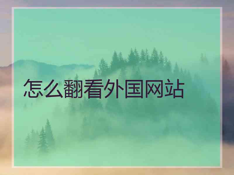 怎么翻看外国网站