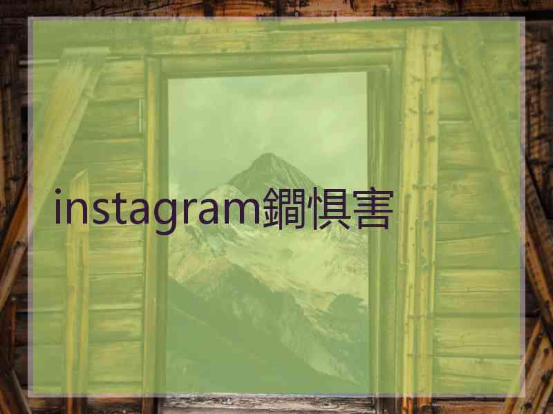 instagram鐧惧害
