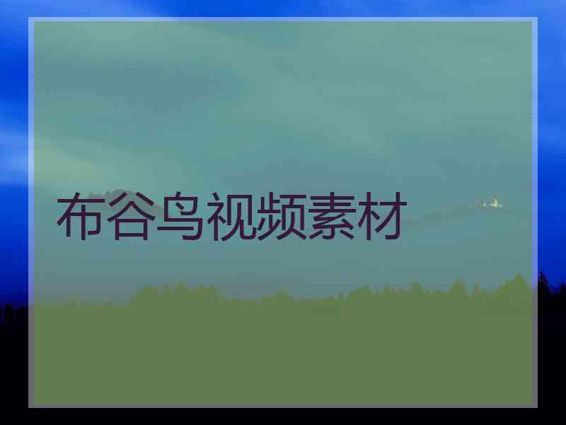 布谷鸟视频素材