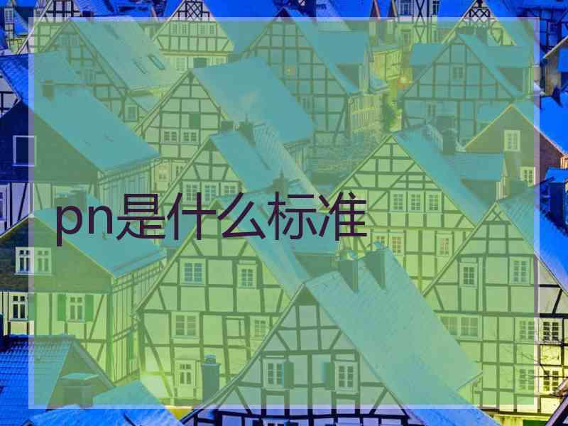 pn是什么标准