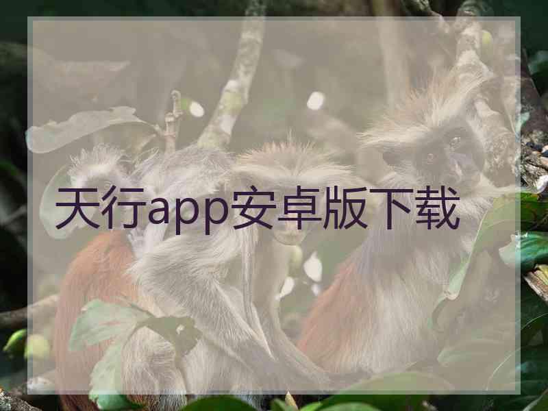 天行app安卓版下载