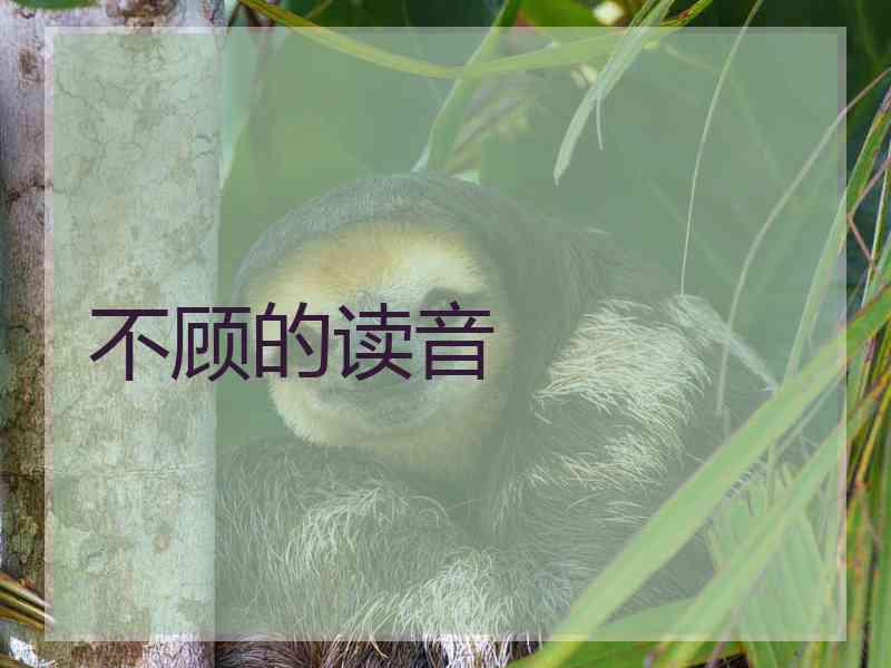不顾的读音
