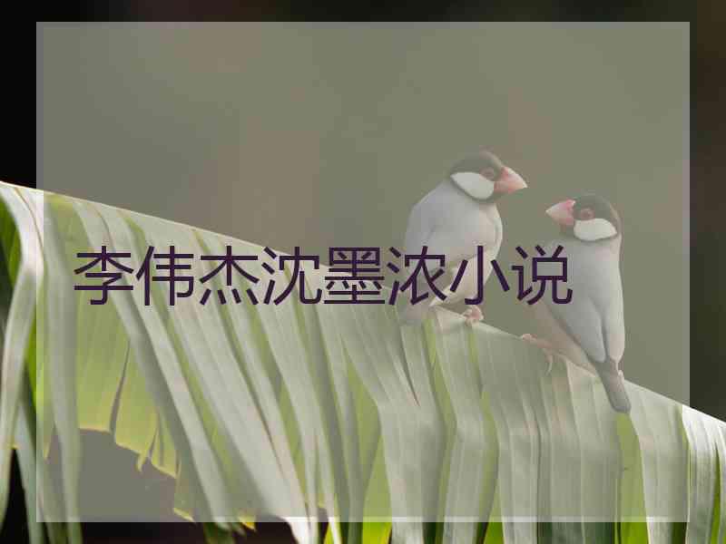 李伟杰沈墨浓小说