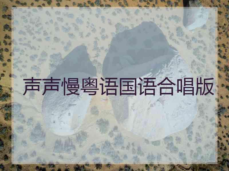 声声慢粤语国语合唱版