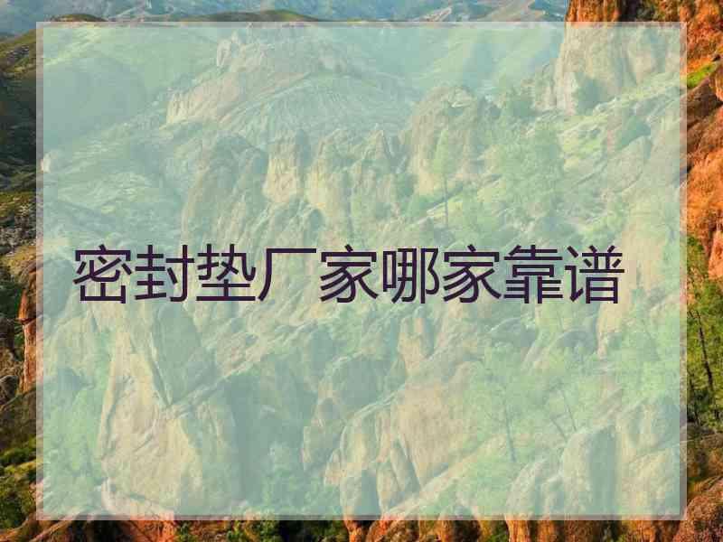 密封垫厂家哪家靠谱