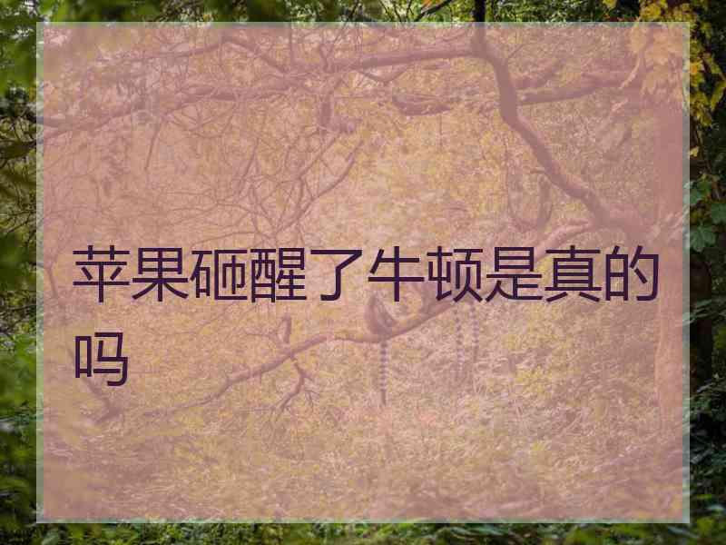 苹果砸醒了牛顿是真的吗