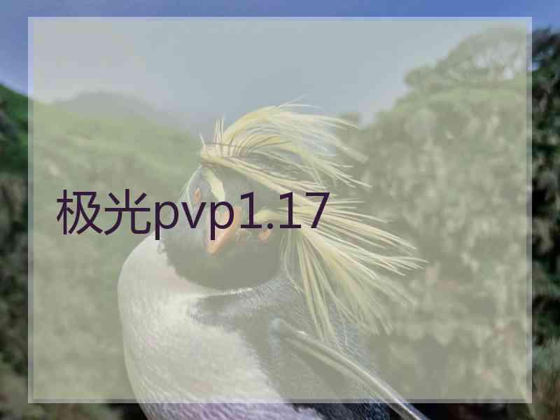 极光pvp1.17
