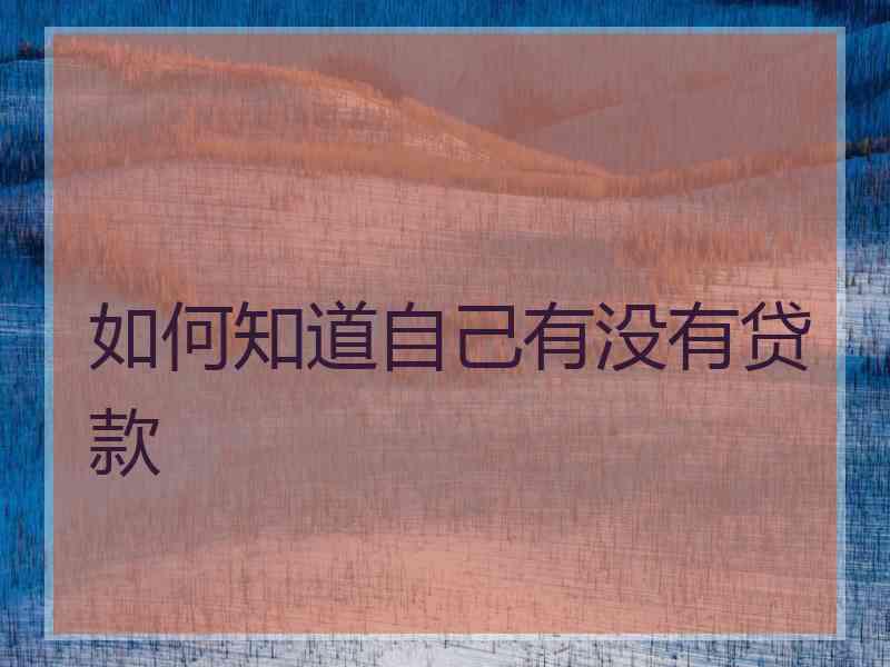 如何知道自己有没有贷款