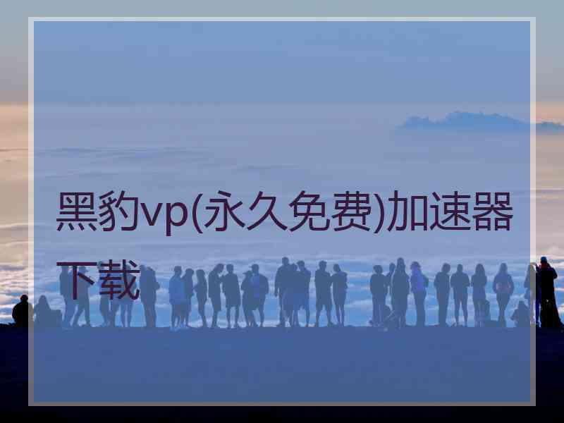 黑豹vp(永久免费)加速器下载