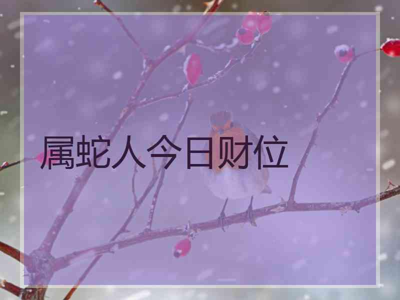 属蛇人今日财位
