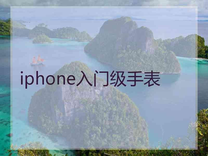 iphone入门级手表