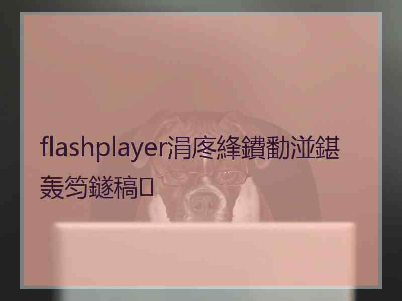 flashplayer涓庝綘鐨勫湴鍖轰笉鐩稿