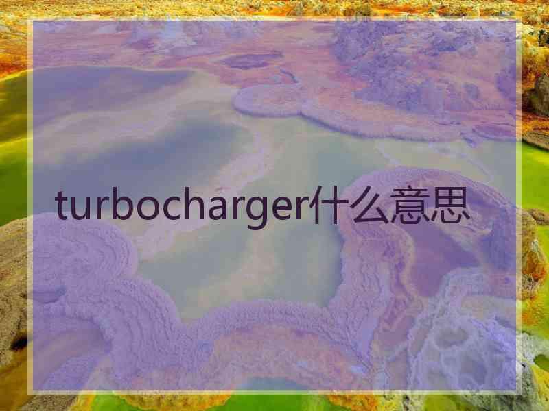turbocharger什么意思