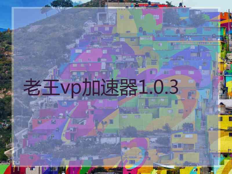 老王vp加速器1.0.3