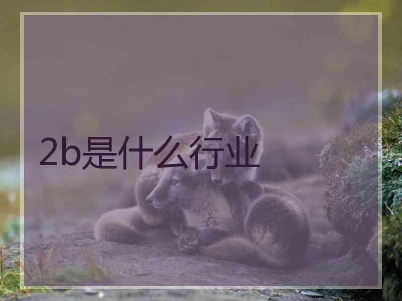 2b是什么行业