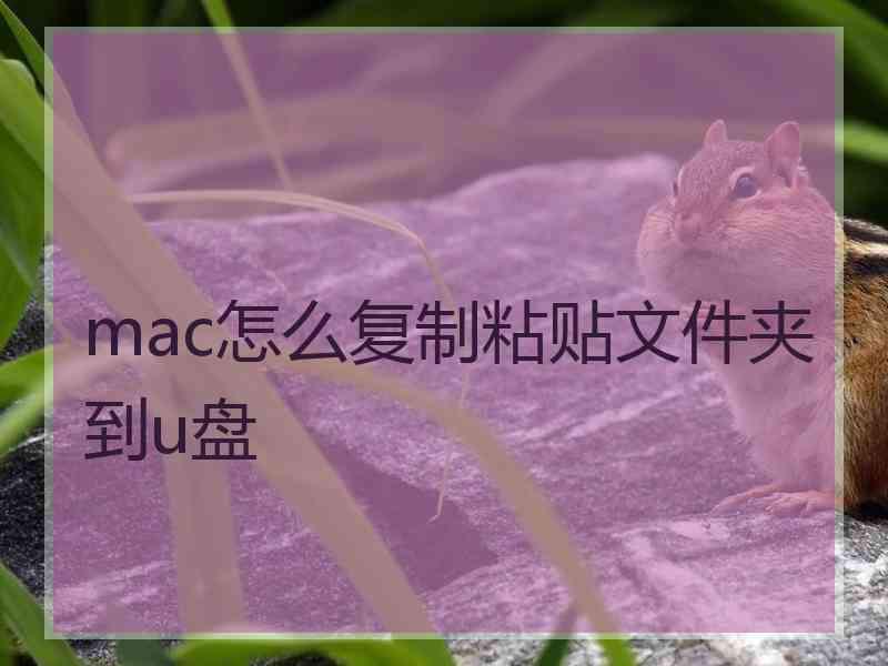 mac怎么复制粘贴文件夹到u盘