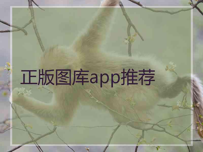 正版图库app推荐