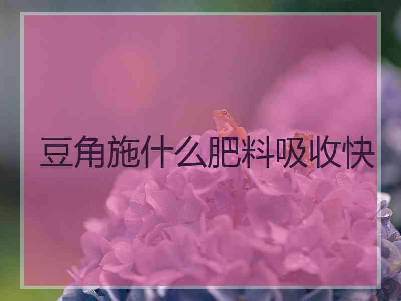 豆角施什么肥料吸收快