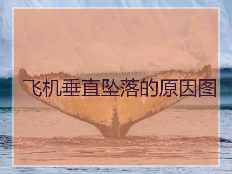 飞机垂直坠落的原因图