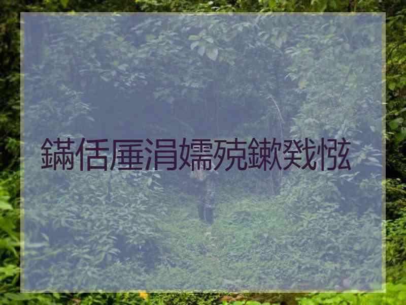 鏋佸厜涓嬬殑鏉戣惤
