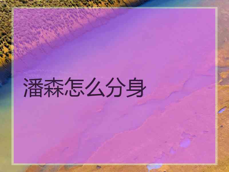 潘森怎么分身