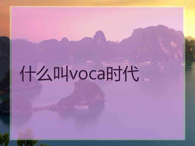 什么叫voca时代