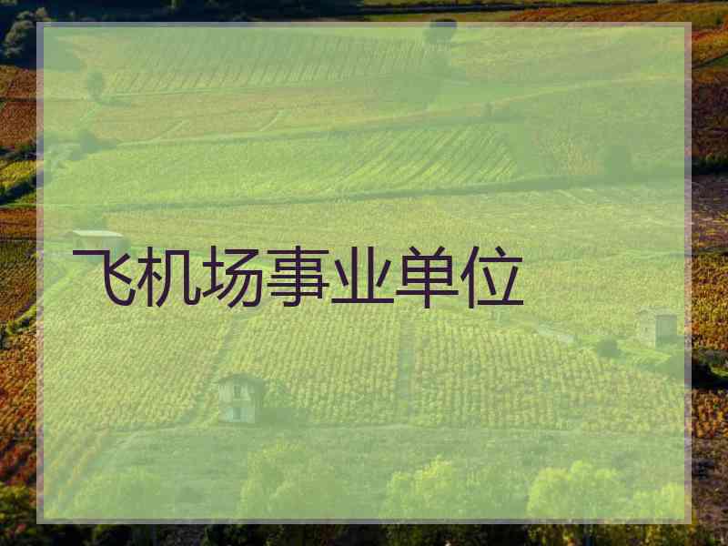 飞机场事业单位