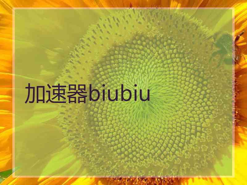 加速器biubiu