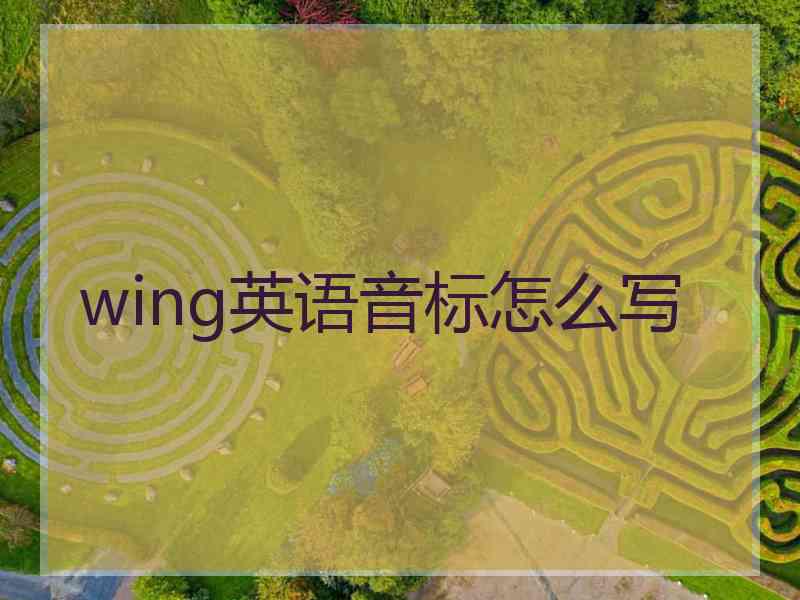 wing英语音标怎么写